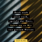 Joel_2,12
